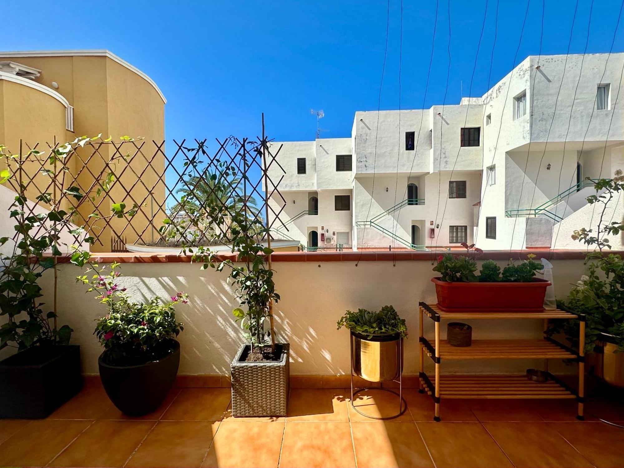 Apartment In Ocean Park Ii, Costa Adeje, Tenerife Buitenkant foto