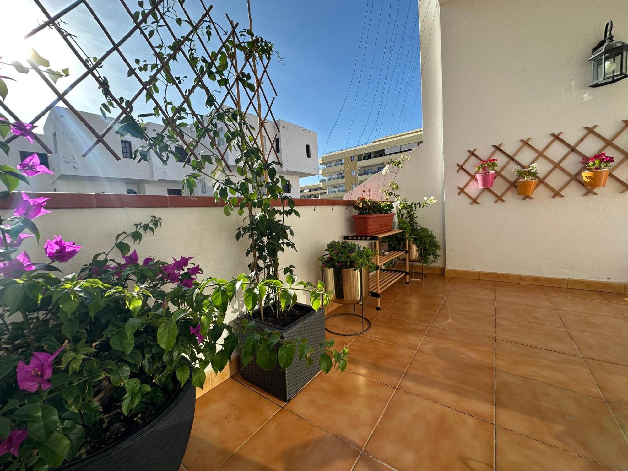 Apartment In Ocean Park Ii, Costa Adeje, Tenerife Buitenkant foto